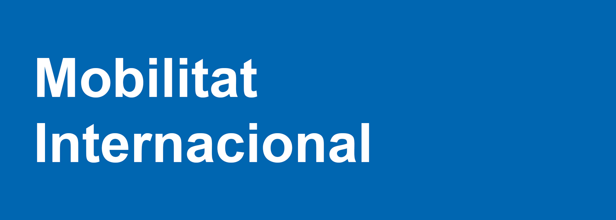 Movilidad Internacional